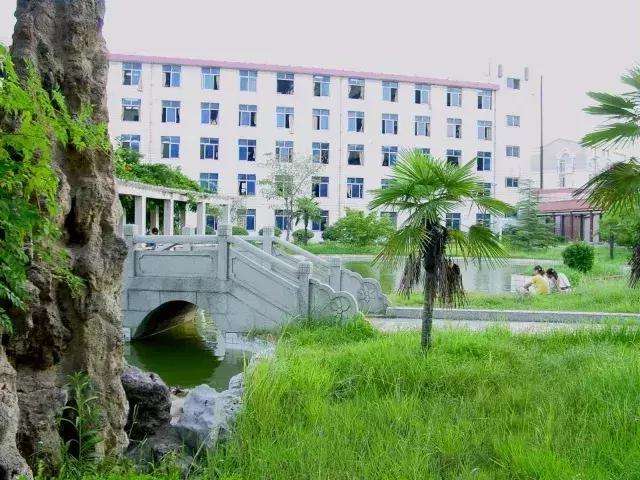 湖北之声,湖北新闻联播精彩呈现