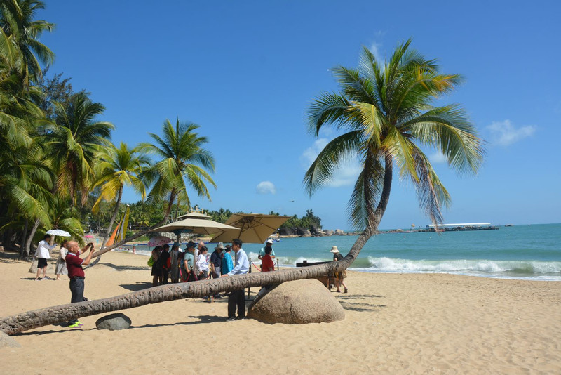 绿色海南，生态宜居新典范的绿色宝岛之旅