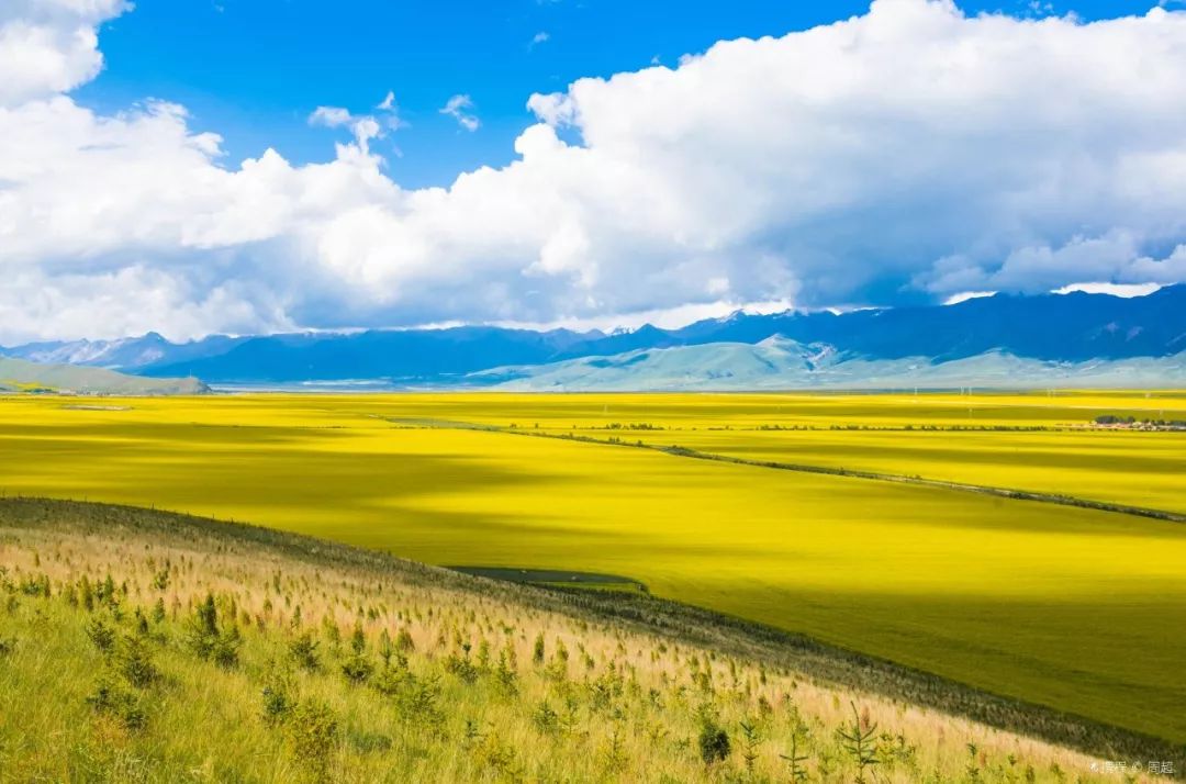 青海心灵之旅,探秘高原秘境