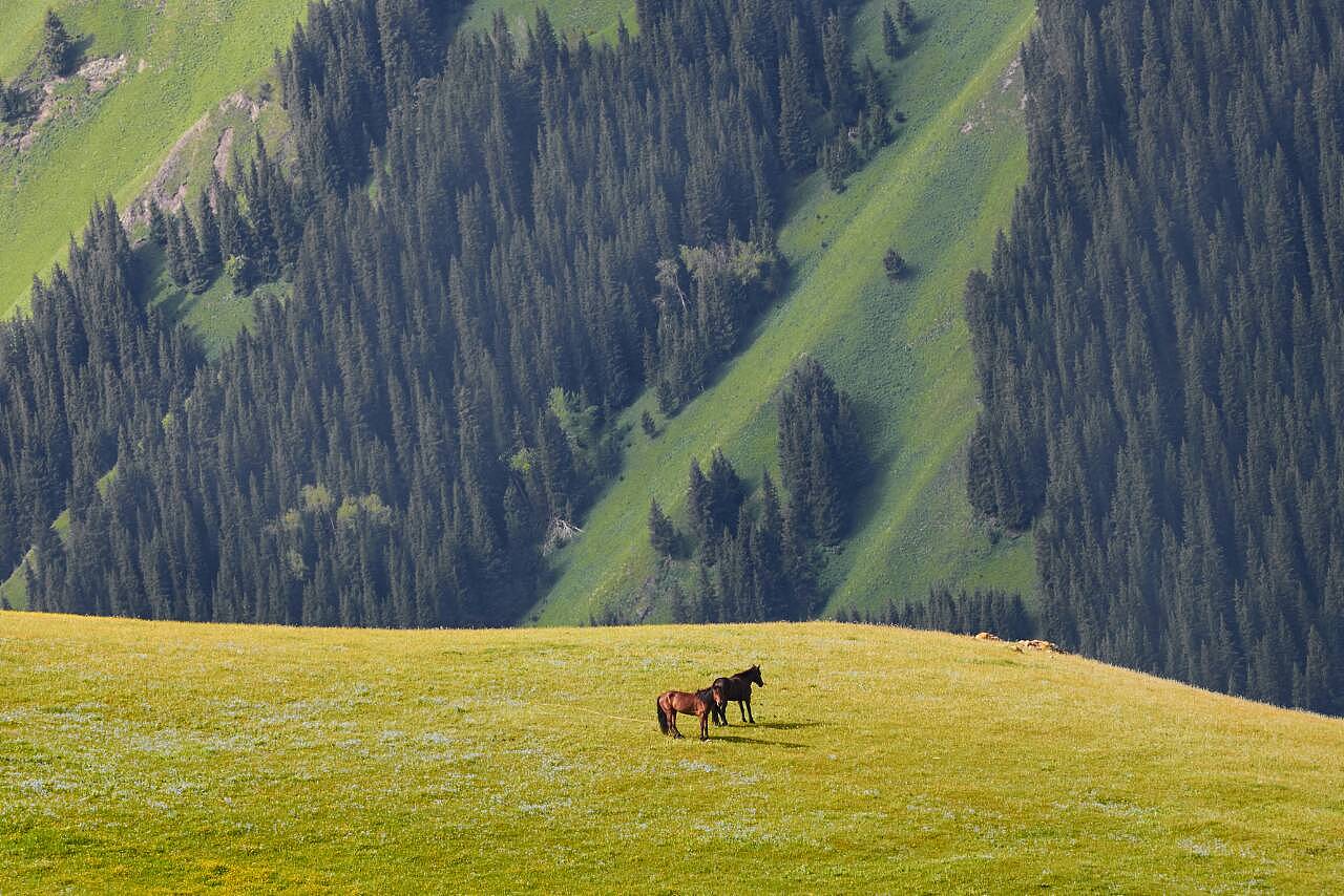 新疆风光无限——主持人播音稿