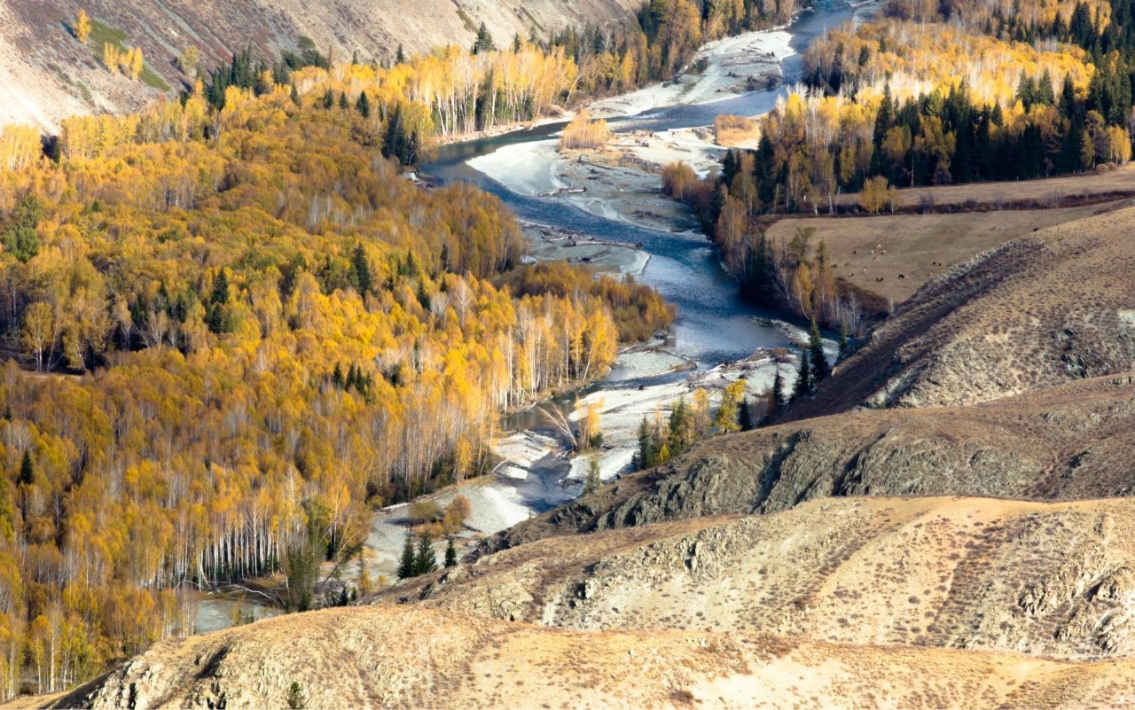 新疆风光无限——主持人播音稿